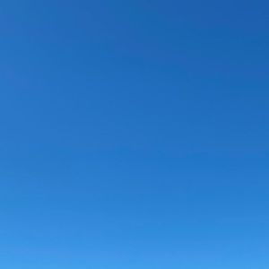 Meet your Posher, Ella